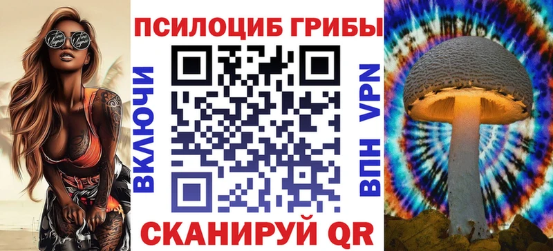 Псилоцибиновые грибы мицелий Комсомольск
